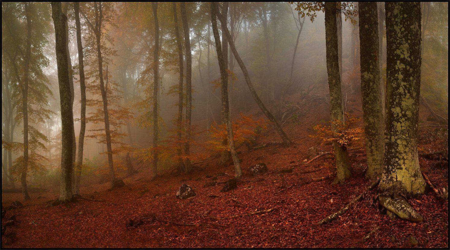, Владимир Метцгер