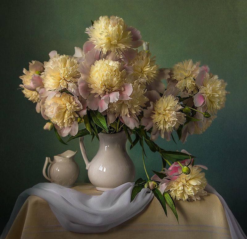 красивый натюрморт с пионами,садовые цветы,художественное фото,искусство. Роскошные пионы. фото превью