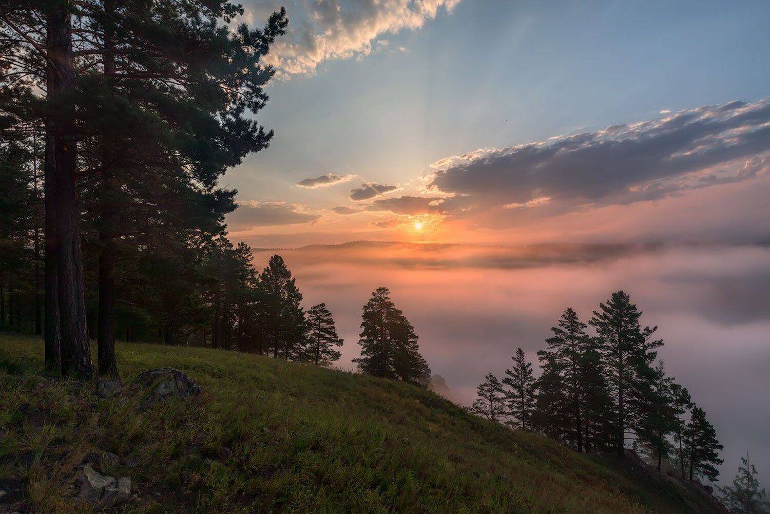 , Сергей Брагин