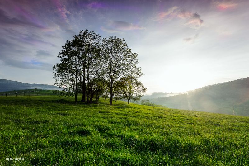 bieszczady national park, bieszczady, mountains, landscape, photography, misty, mist, fog Abandon all hope фото превью