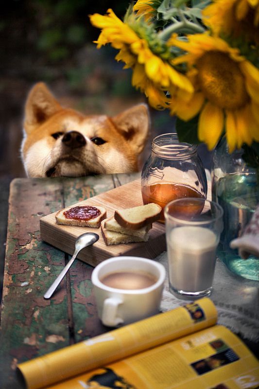 А вот и я... фото превью