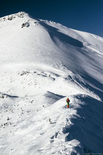 Под Туркулом