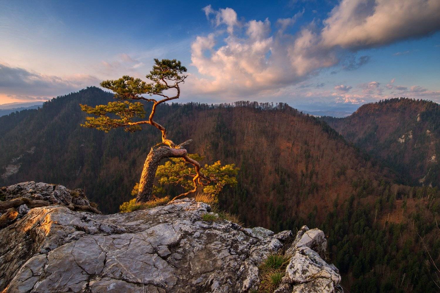 pieniny,sokolica,national park,pieninski park narodowy,pieniny national park,landscape,krajobraz,poland,tatry,tatras,sunset,, Marcin Rydzewski