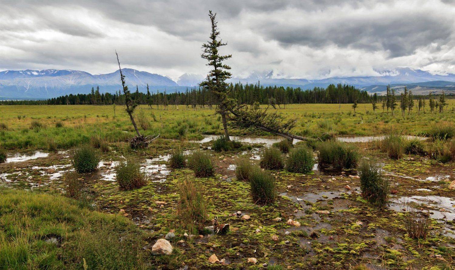 , Дмитрий Д.