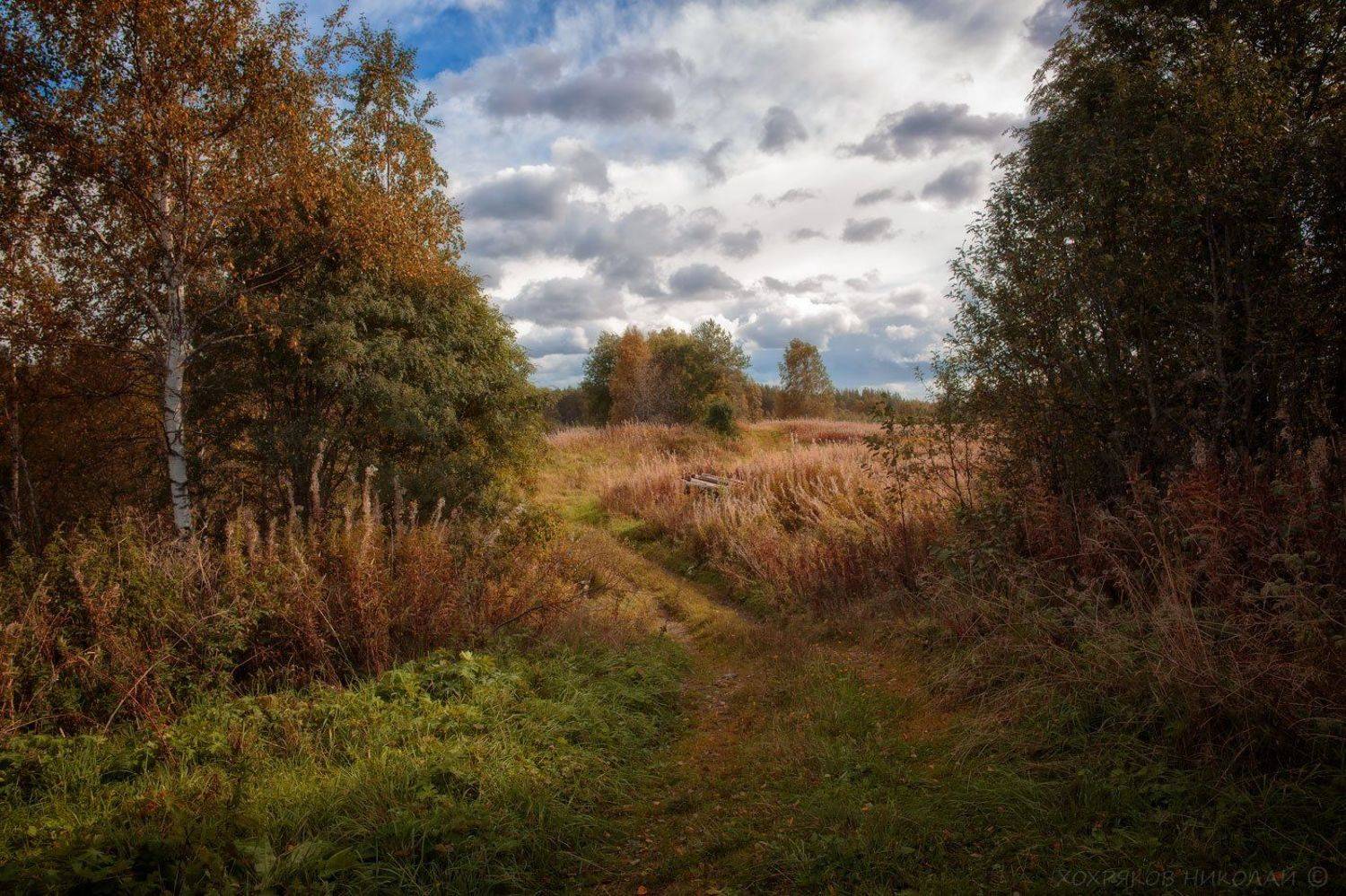 , Хохряков Николай