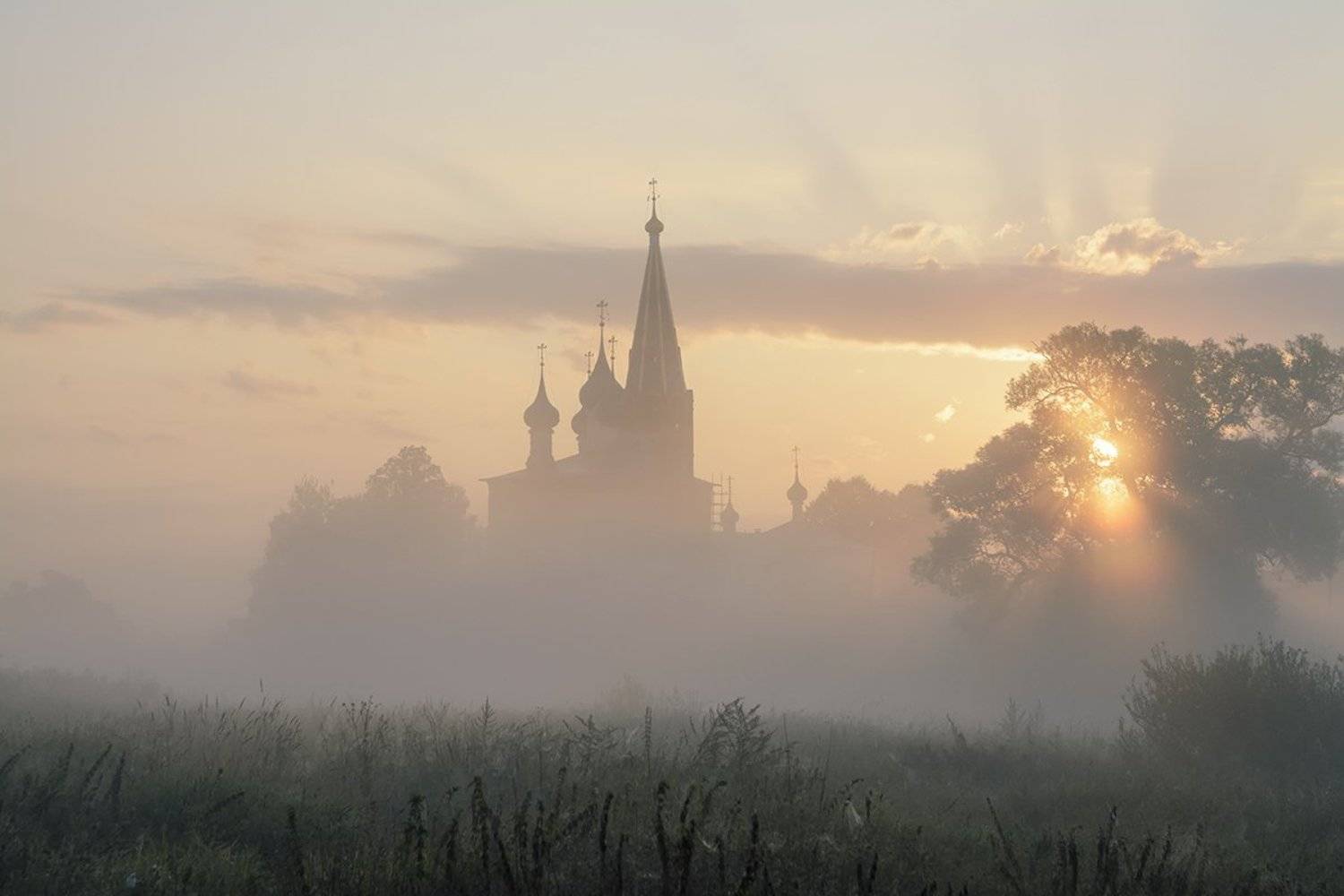 , Анатолий Зверев