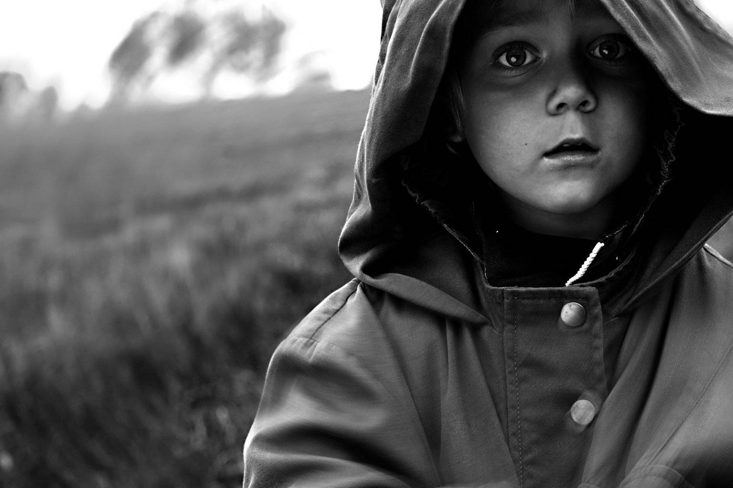 , анна шацкая