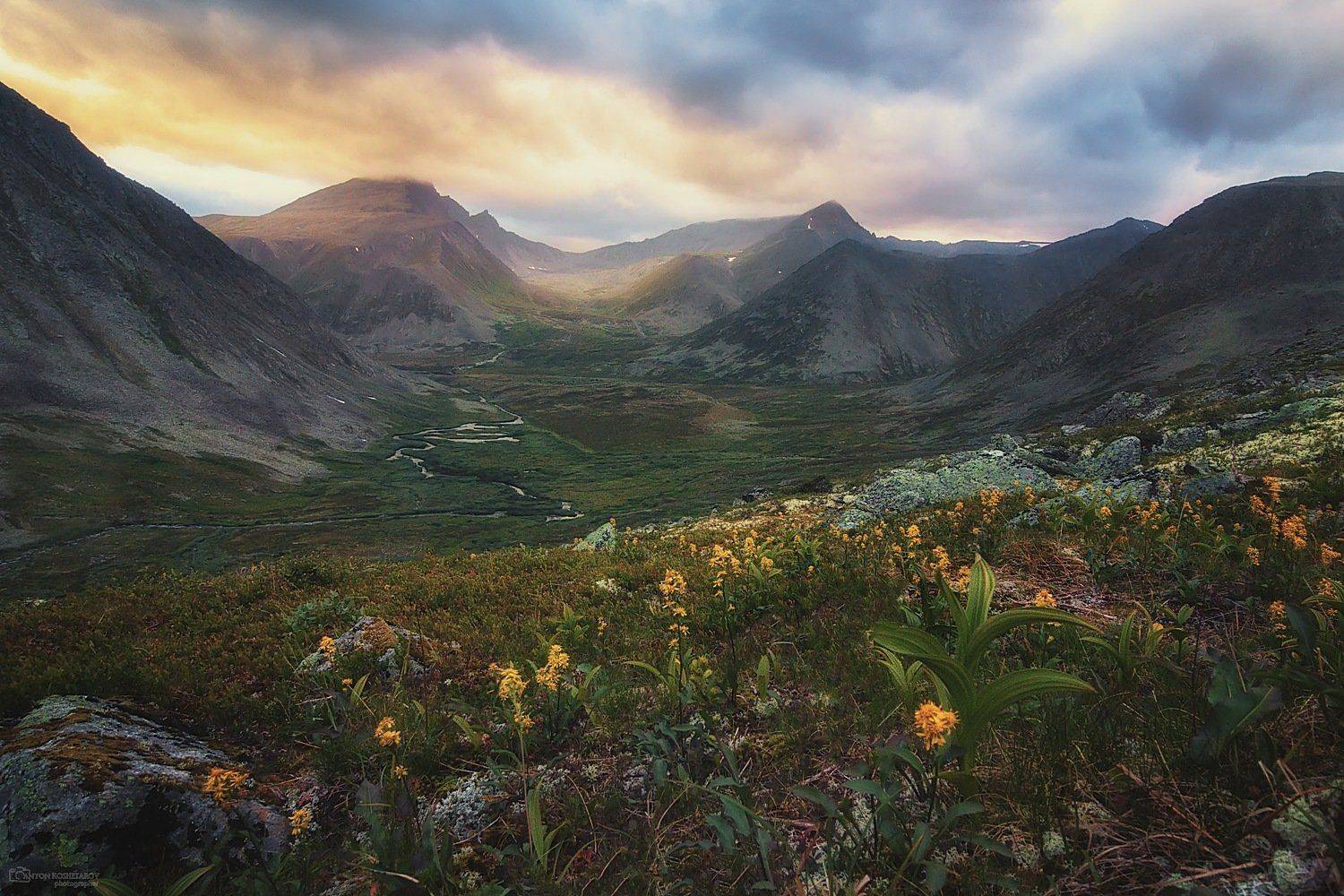 , Антон Кошетаров