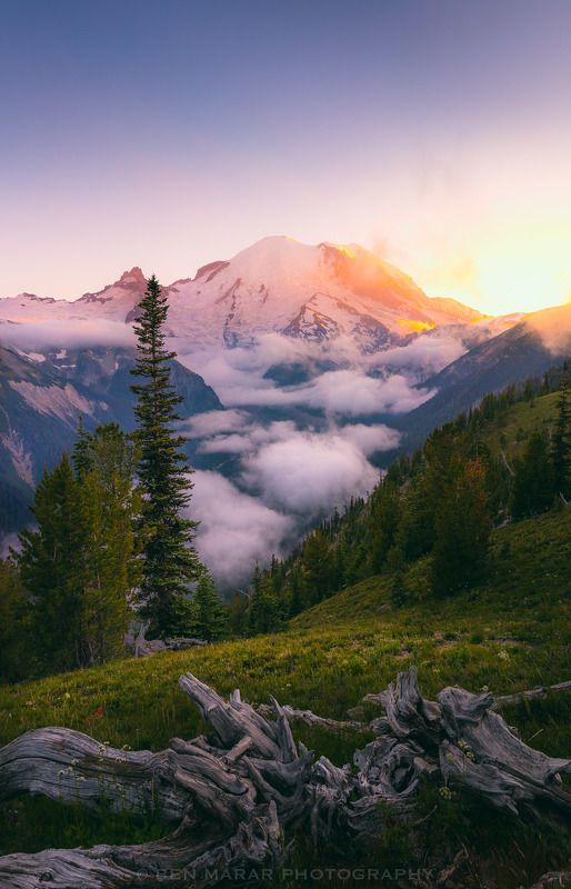 Going to sleep... фото превью