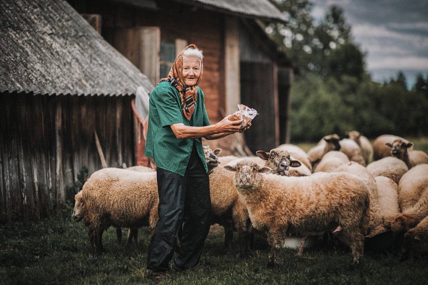 portrait,genreportrait,willagelife,портрет,деревня,овцы,хутор, Olegs Bucis