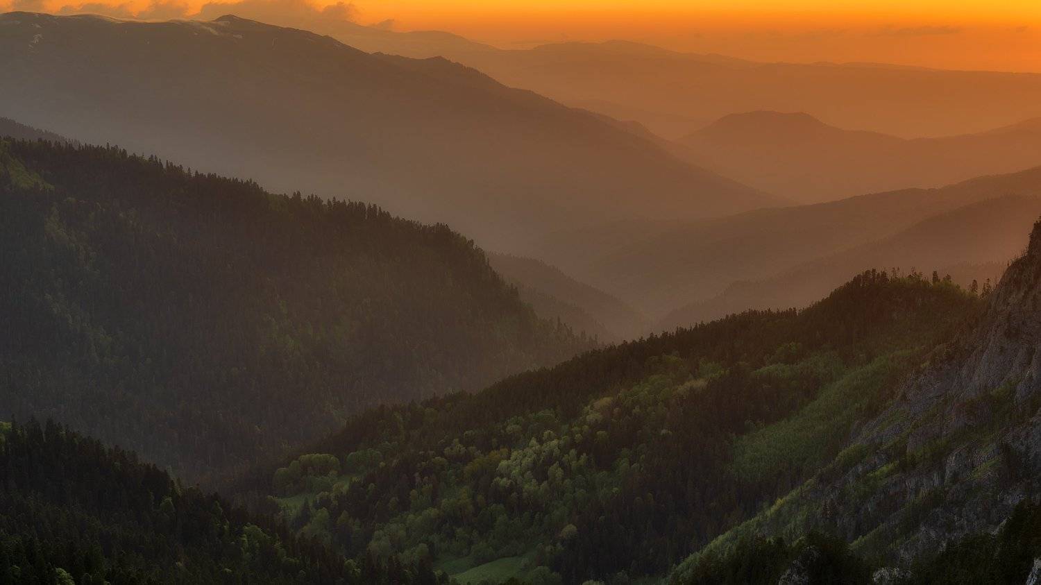 , Alexander Plekhanov