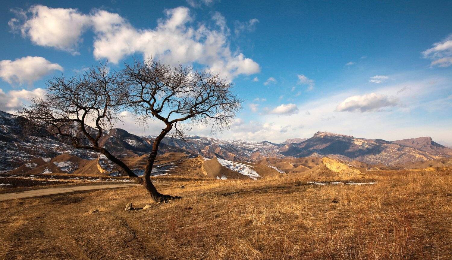 горы,зима,просторы,дагестан, Marat Magov