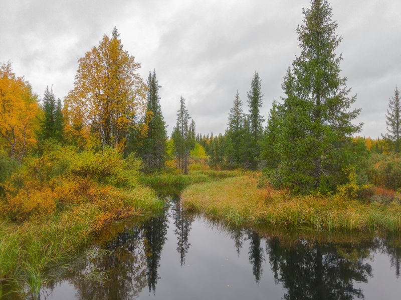 Осень севера фото превью