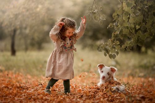 Веселая прогулка