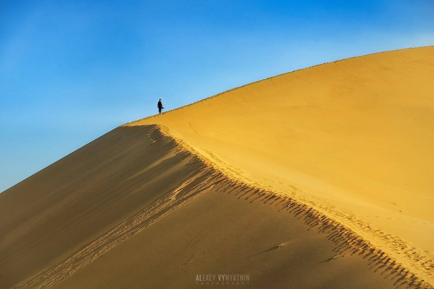 , Алексей Вымятнин