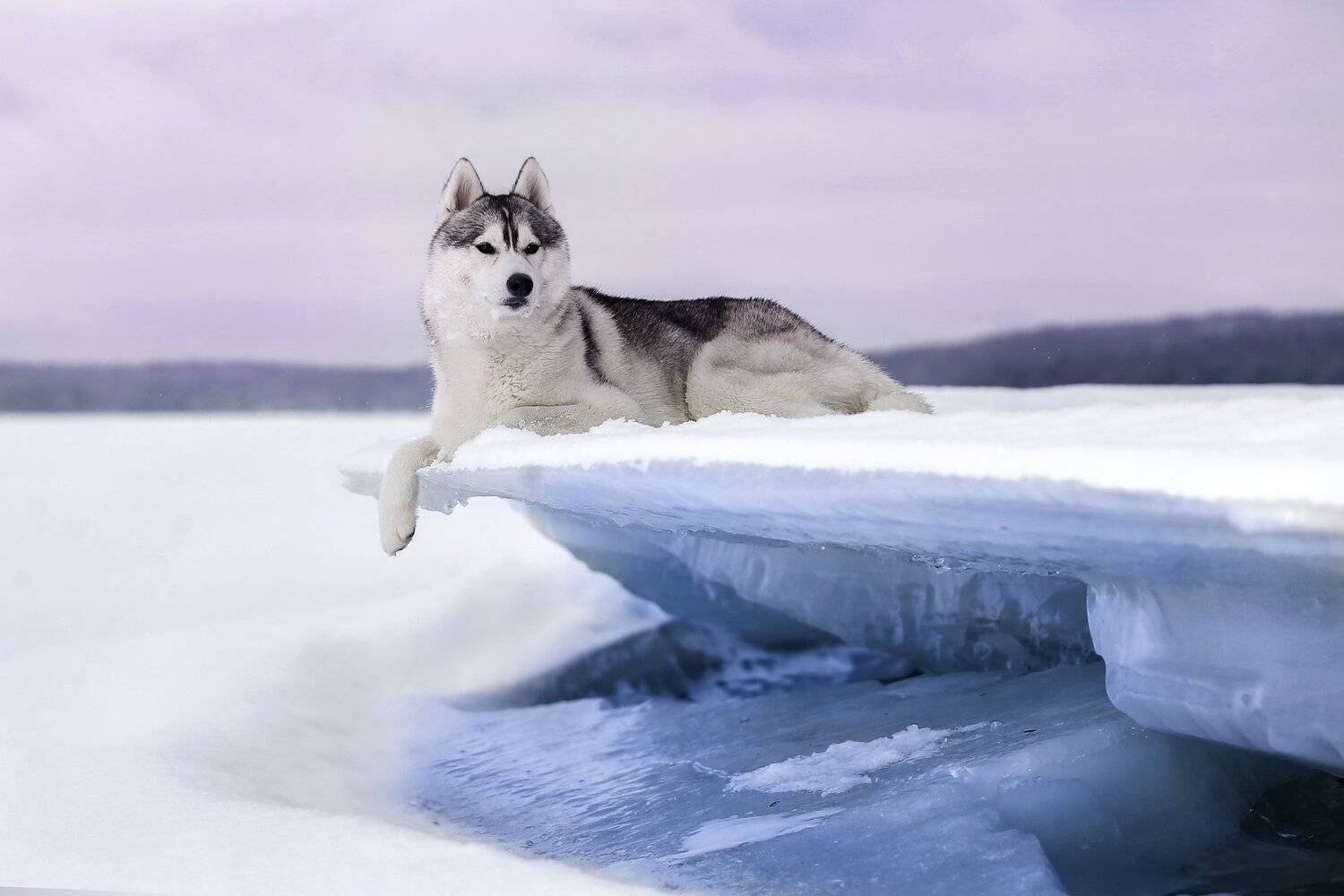 , Андрей Ершов