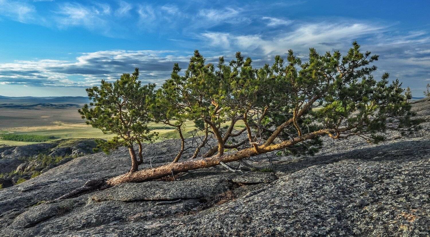 горы, Евгений Дроботенко