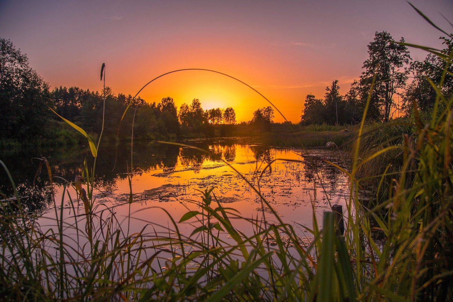 закат, Россия, Ивановская область, Лежнево, Воробьёв Евгений