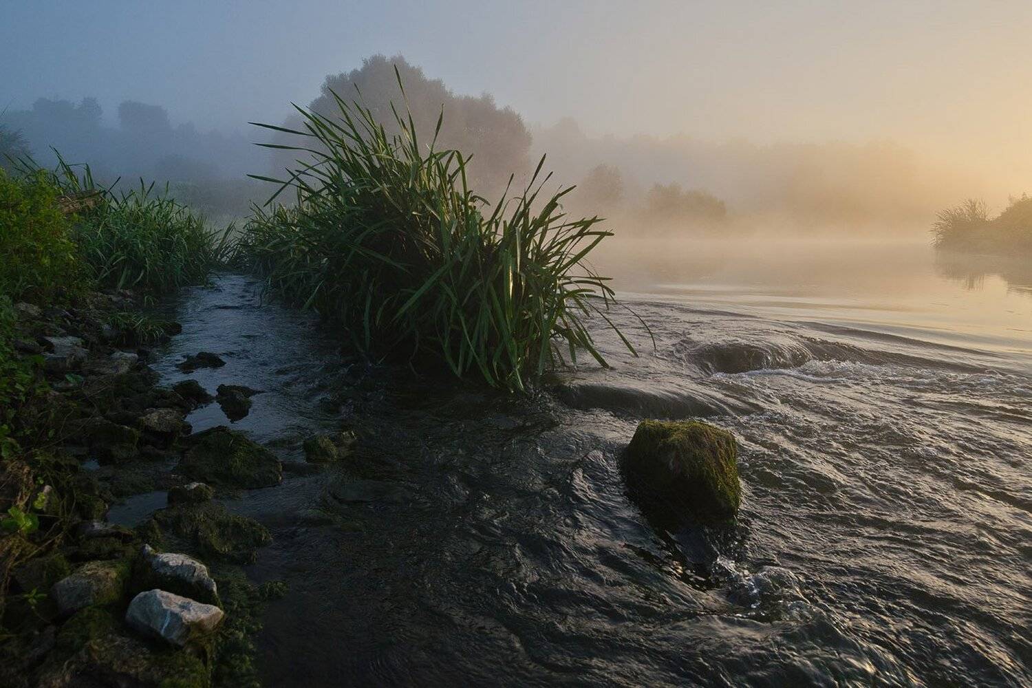 утро, рассвет, пейзаж, река, упа, якшино, перекат, Михаил Агеев