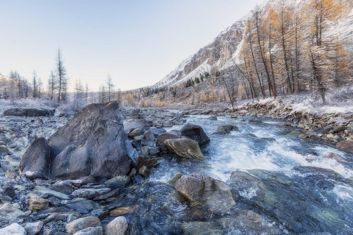 алтай, актру, Владимир Липецких