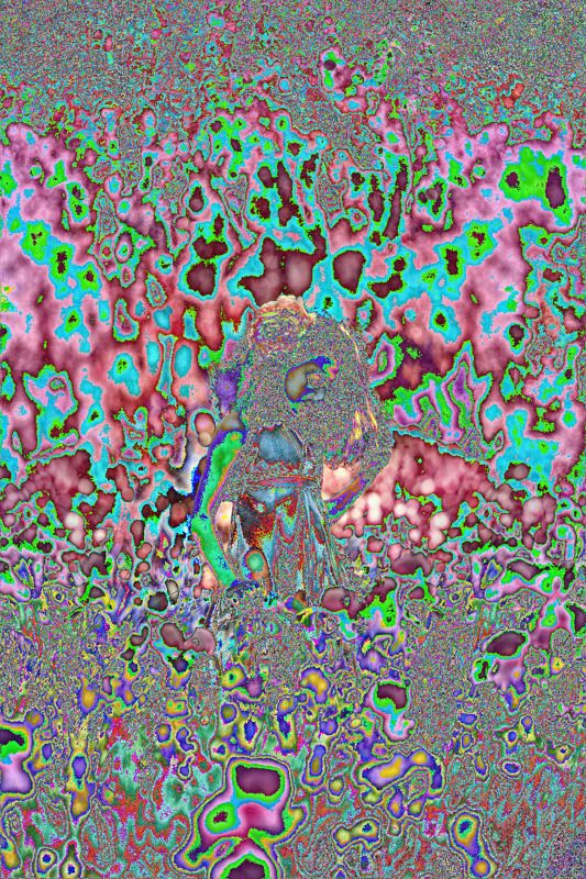 girl, portrait, девочка, портрет, цветы, поляна Arina фото превью