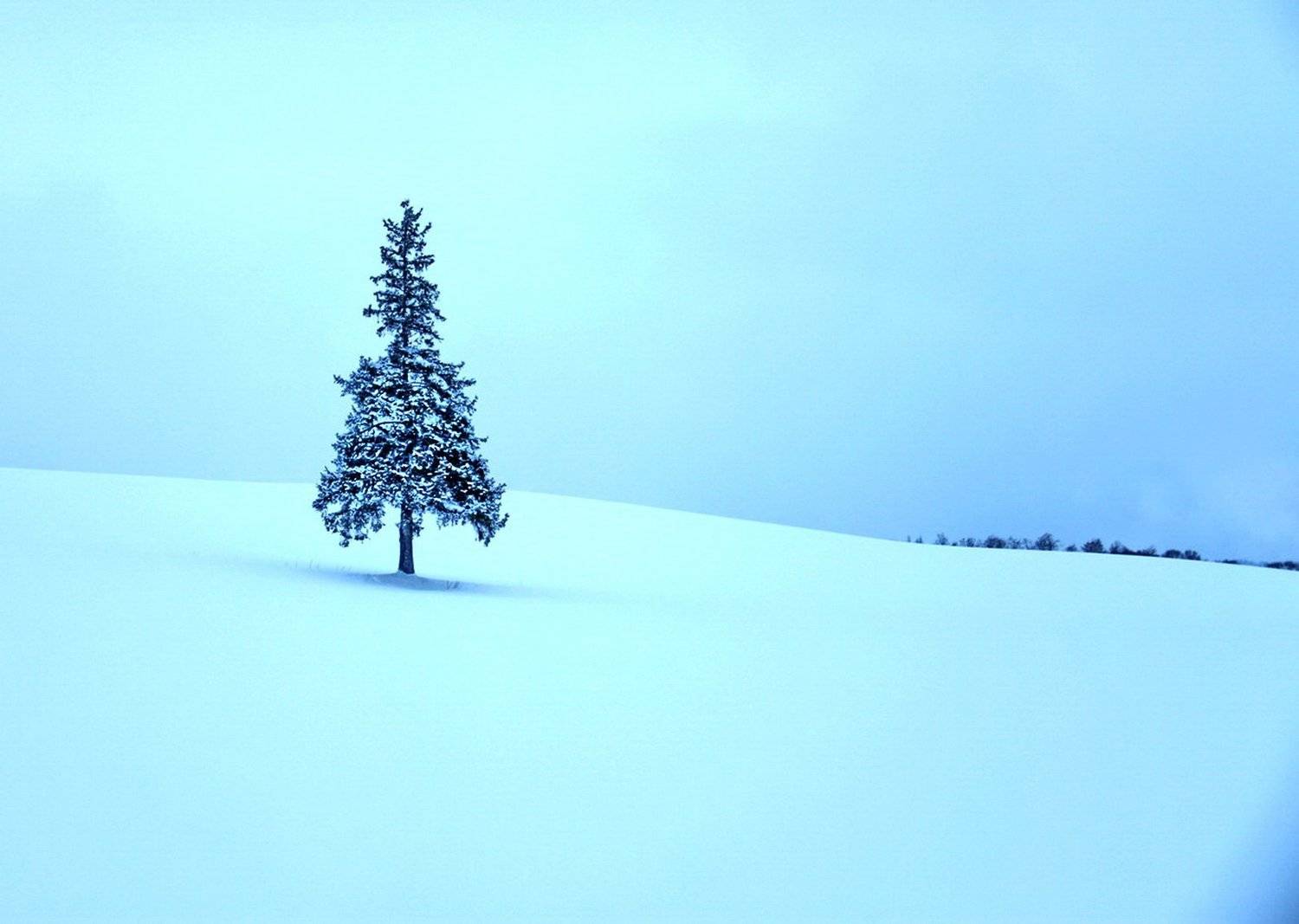 , Inkol Yu  유인걸