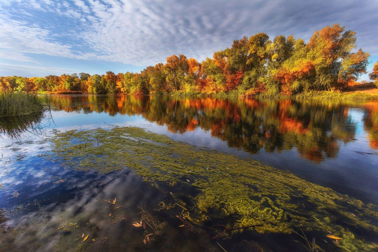 , Павел Сагайдак