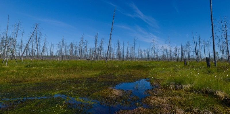 БВБ фото превью