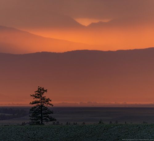 Курайский огонь
