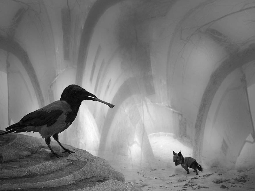 , T. Bondarenko