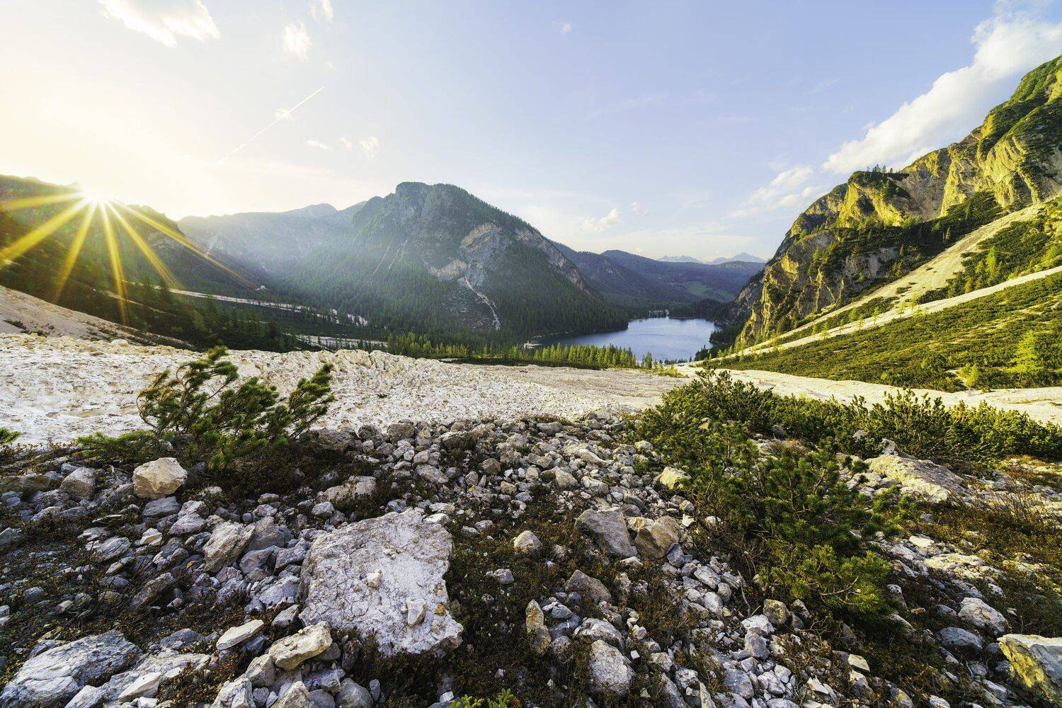 , Christian Scheiffele