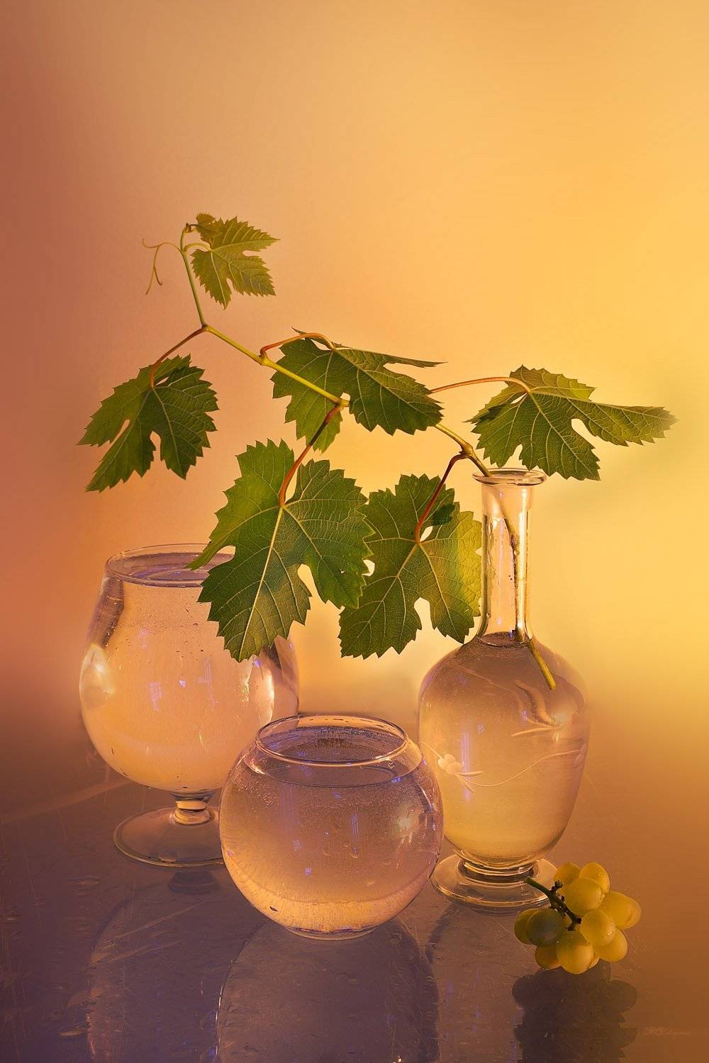 , Вера  Павлухина