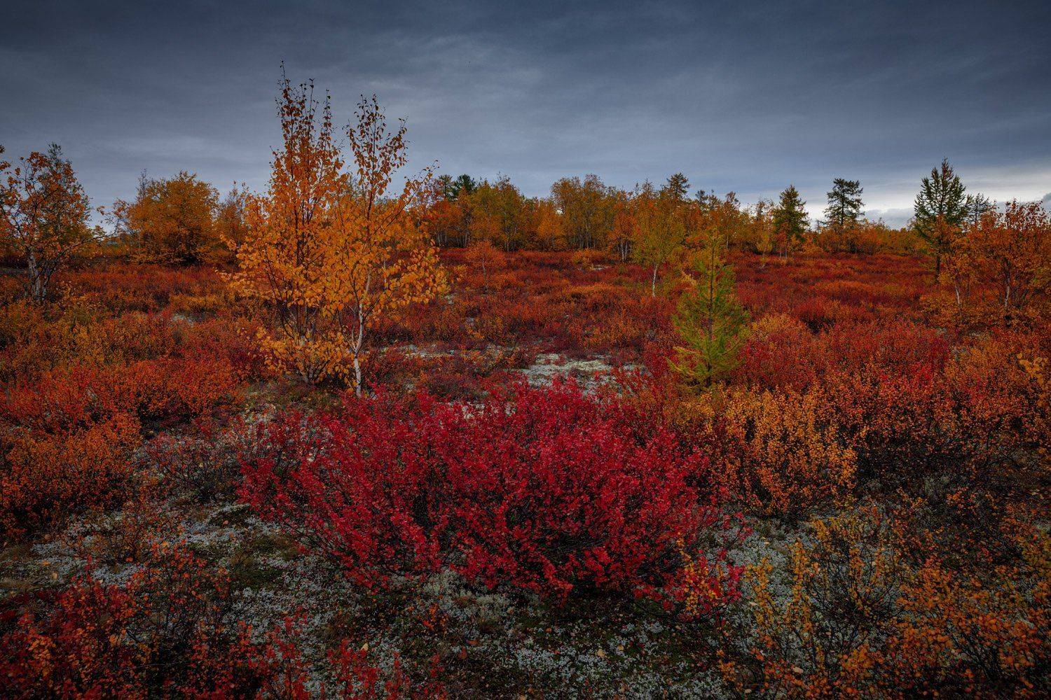 , Евгений Кужилев