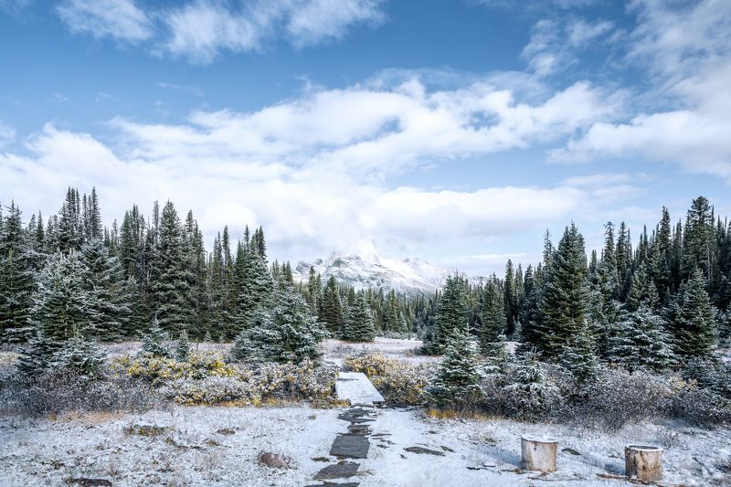 canada, bc, british columbia, mountain winter, snow, travel, landscape, alpine, forest, bridge, trail, nature, outdoor, canada, bc, british columbia, горная зима, снег, путешествия, пейзаж, альпийский, лес, мост, тропа, природа, на улице, Step out фото превью