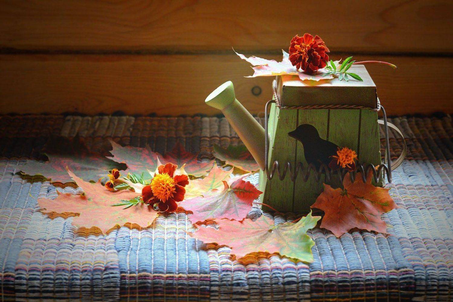 , Марина Никифорова