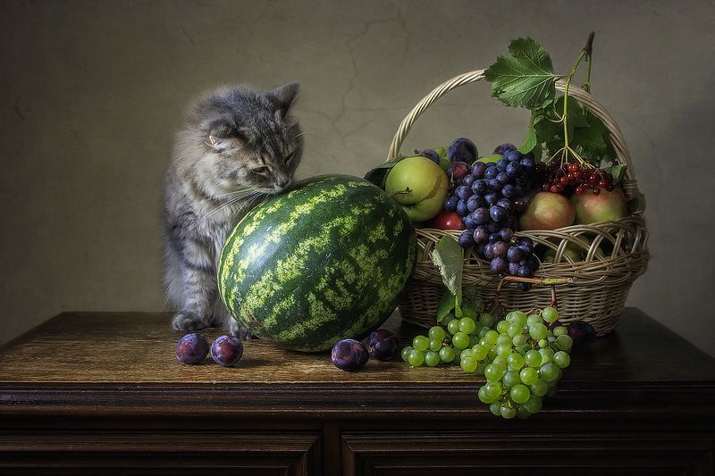 - Да, этим мячиком не поиграешь! фото превью