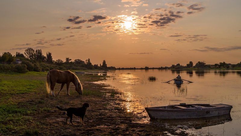 где-то притаилась по задворкам птиц неугомонных красота. отчего-то в пенье птиц всё чаще слышу деревень печальных голоса. ДЕРЕВЕНСКИЕ ЗАРИСОВКИ фото превью