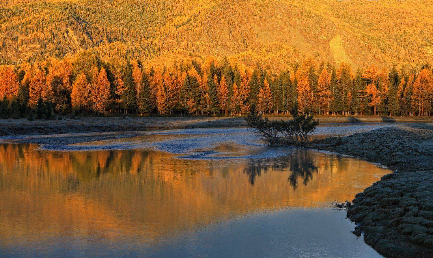 , Галина Хвостенко