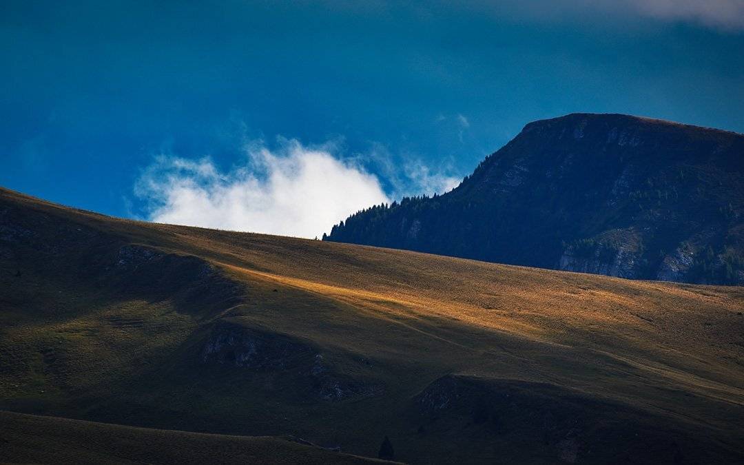 , Stefan Chirobocea