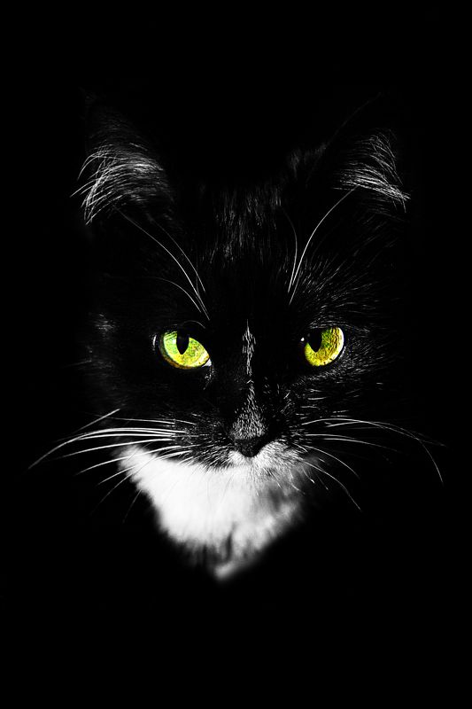 Взгляд... фото превью