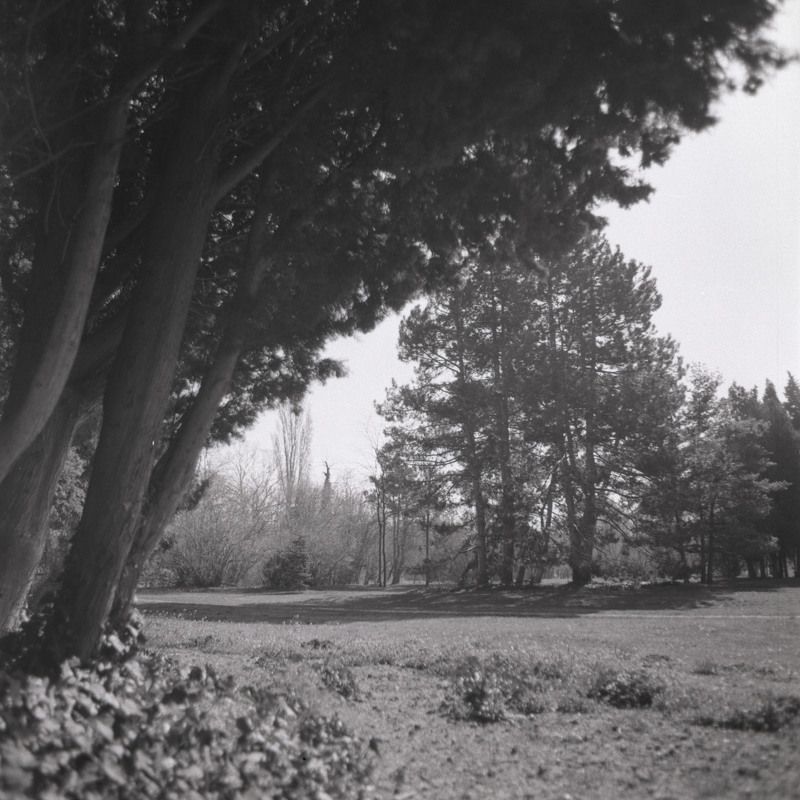 film, пленка, средний, формат, middle, format Park фото превью