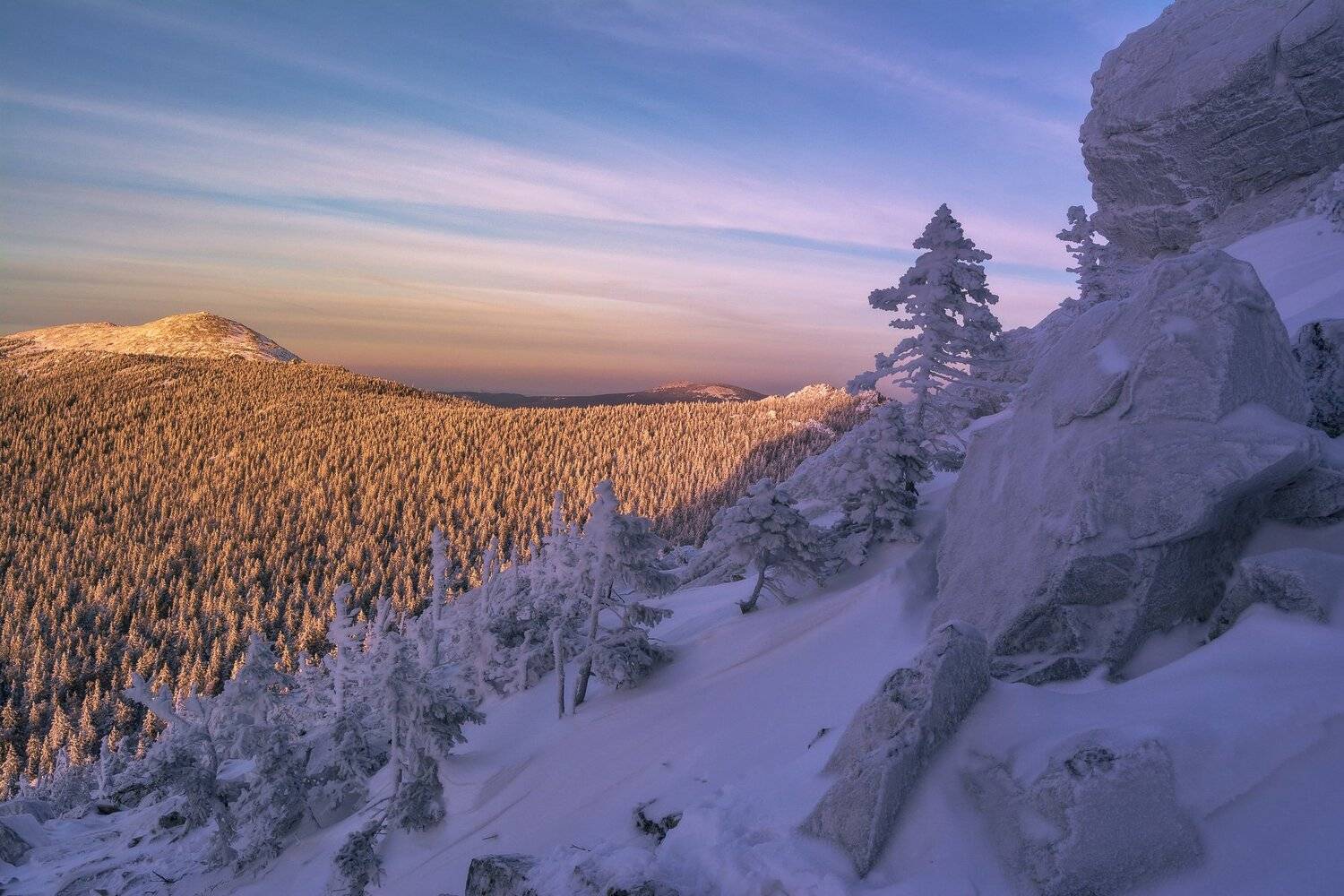 , Андрей Шарапов