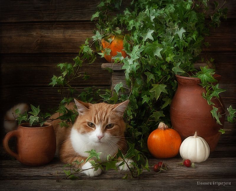 Мой личный кусочек солнышка фото превью