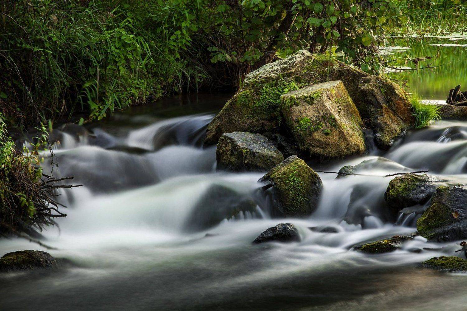 , Дмитрий Сдобин