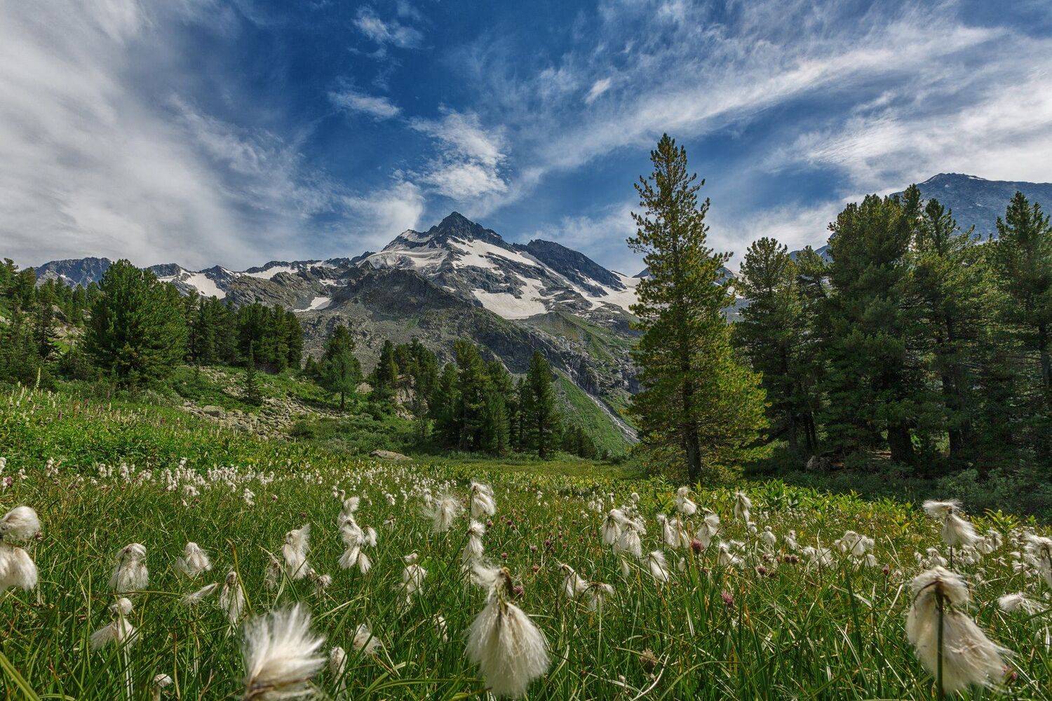 , Шевченко Николай