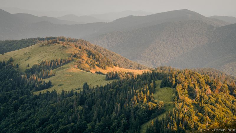 горы, лето, пейзаж, хребет, зеленый, лес, рассвет, боковой свет, утро, солнечный, карпаты, панорама, природа Утро в горах. Сколевские Бескиды. Карпаты. фото превью