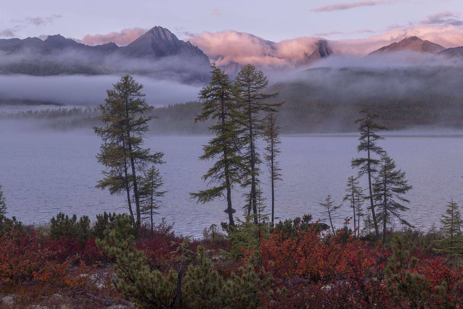 Фототуры с Владимиром Рябковым, озеро Джека Лондона, осень., Владимир Рябков