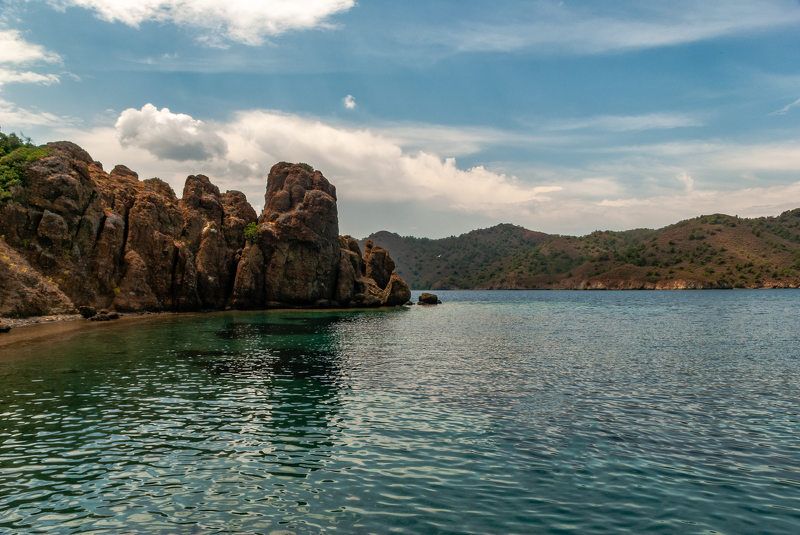 зубы дракона фото превью