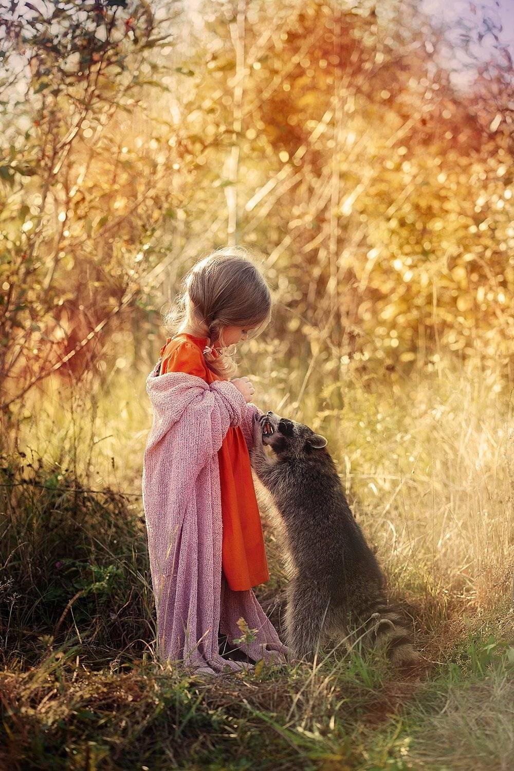 енот, девочка , Елена Горячева