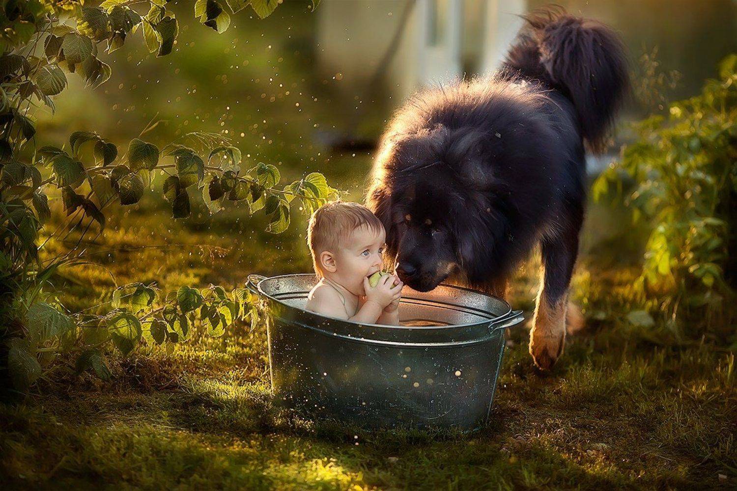 , Любовь Пятовская